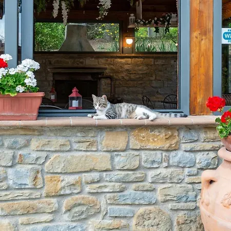 Serena Holiday home Assisi