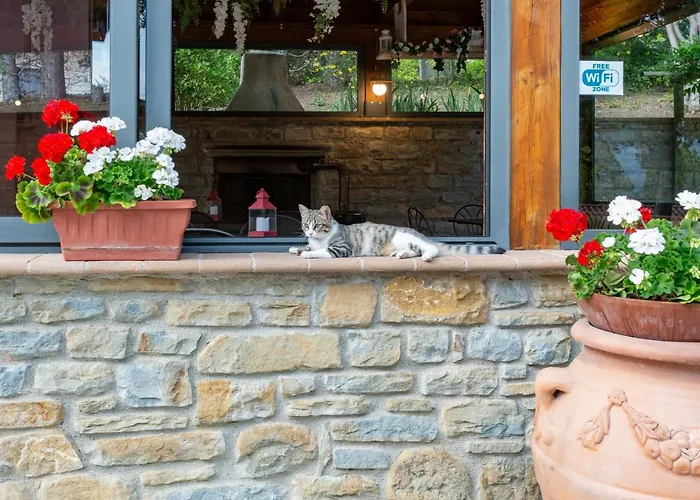 Serena Casa vacanze Assisi